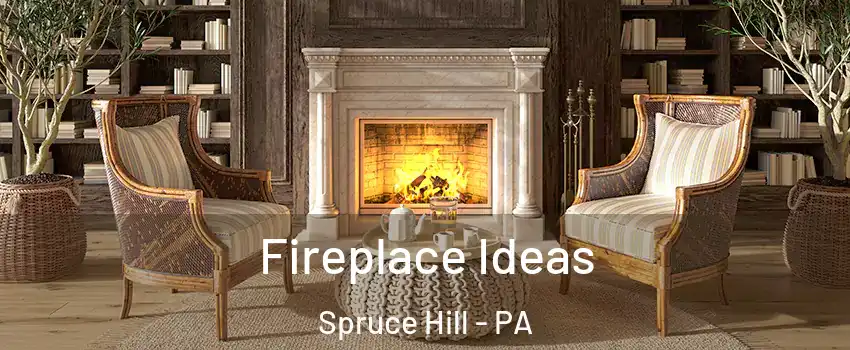 Fireplace Ideas Spruce Hill - PA