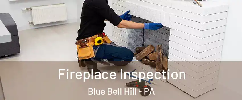 Fireplace Inspection Blue Bell Hill - PA