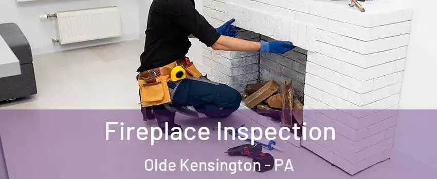 Fireplace Inspection Olde Kensington - PA