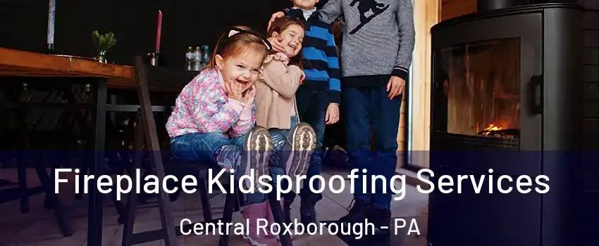 Fireplace Kidsproofing Services Central Roxborough - PA