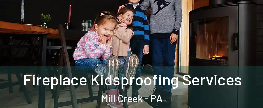 Fireplace Kidsproofing Services Mill Creek - PA