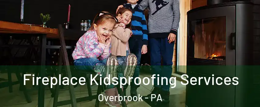 Fireplace Kidsproofing Services Overbrook - PA