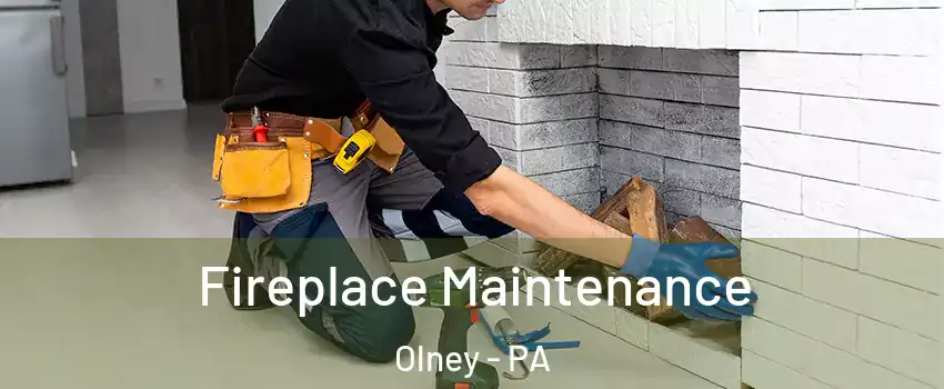 Fireplace Maintenance Olney - PA