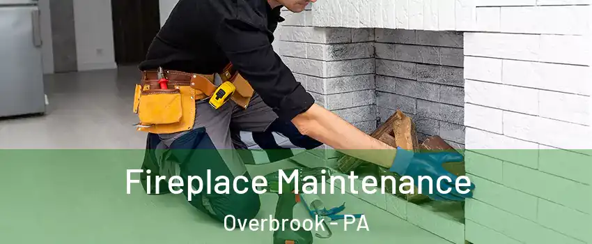 Fireplace Maintenance Overbrook - PA