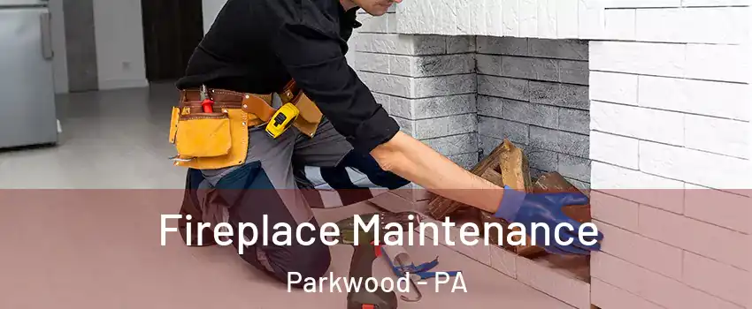 Fireplace Maintenance Parkwood - PA