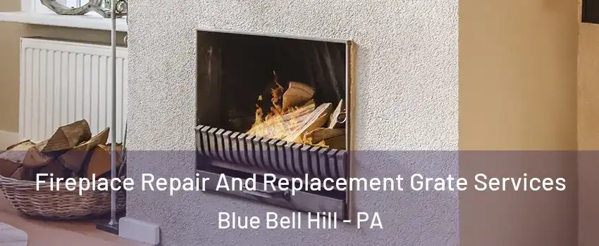 Fireplace Repair And Replacement Grate Services Blue Bell Hill - PA