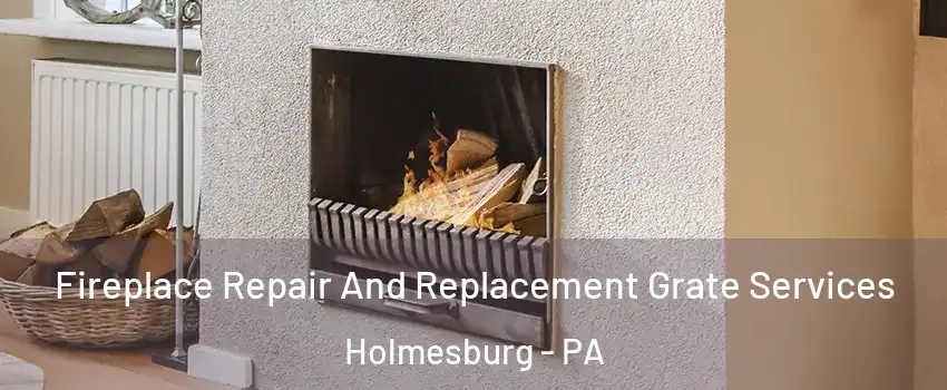 Fireplace Repair And Replacement Grate Services Holmesburg - PA