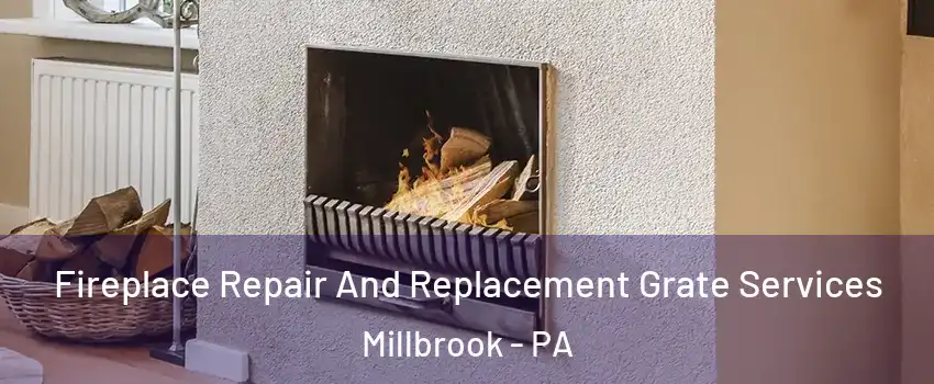 Fireplace Repair And Replacement Grate Services Millbrook - PA