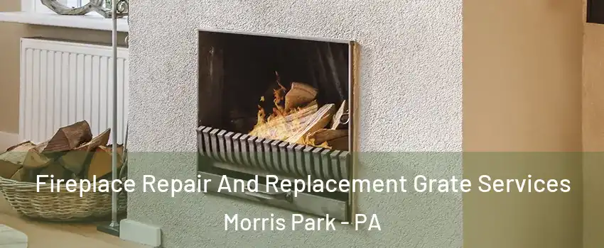 Fireplace Repair And Replacement Grate Services Morris Park - PA