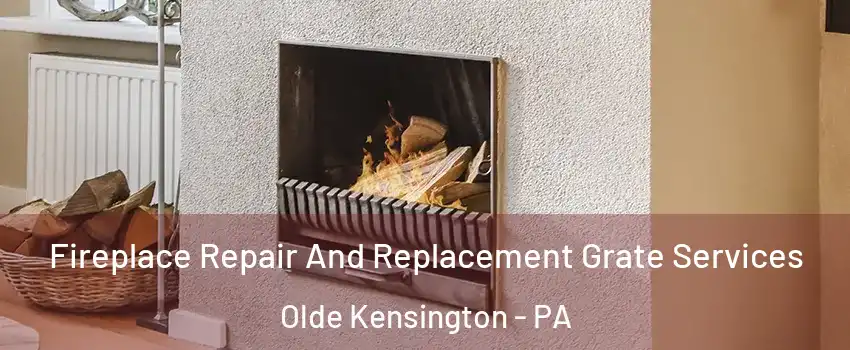 Fireplace Repair And Replacement Grate Services Olde Kensington - PA