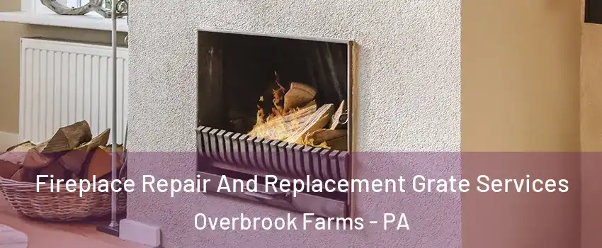 Fireplace Repair And Replacement Grate Services Overbrook Farms - PA