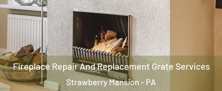 Fireplace Repair And Replacement Grate Services Strawberry Mansion - PA