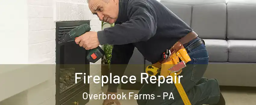 Fireplace Repair Overbrook Farms - PA