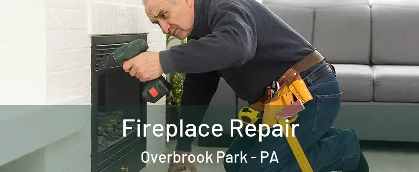 Fireplace Repair Overbrook Park - PA