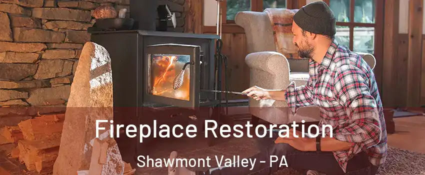 Fireplace Restoration Shawmont Valley - PA