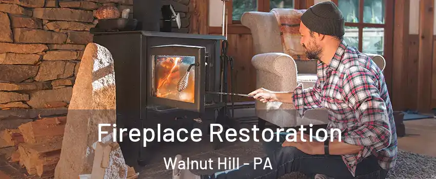 Fireplace Restoration Walnut Hill - PA