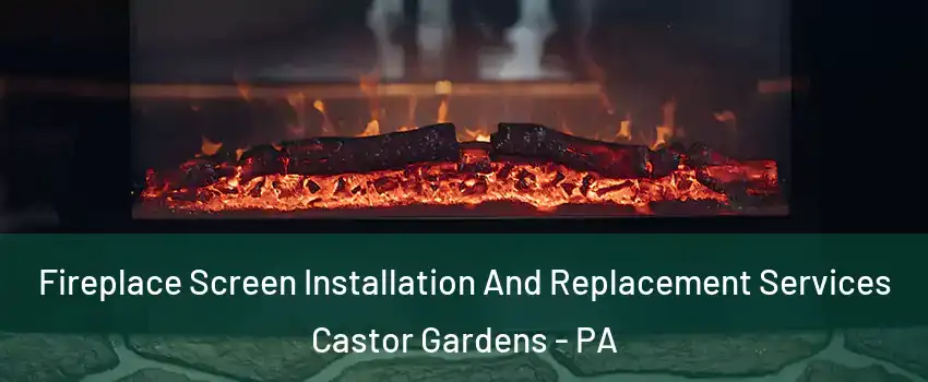 Fireplace Screen Installation And Replacement Services Castor Gardens - PA