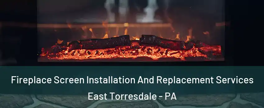 Fireplace Screen Installation And Replacement Services East Torresdale - PA