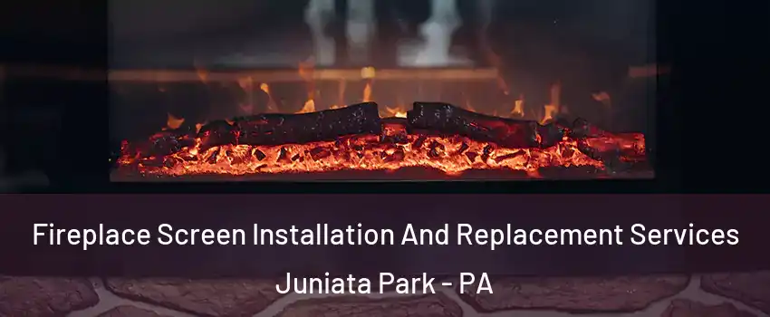 Fireplace Screen Installation And Replacement Services Juniata Park - PA