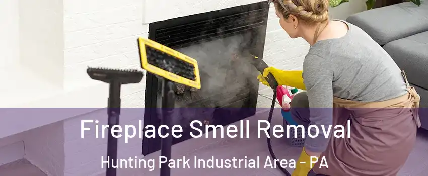 Fireplace Smell Removal Hunting Park Industrial Area - PA