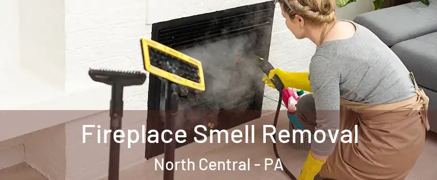 Fireplace Smell Removal North Central - PA