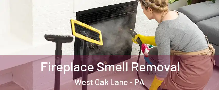 Fireplace Smell Removal West Oak Lane - PA