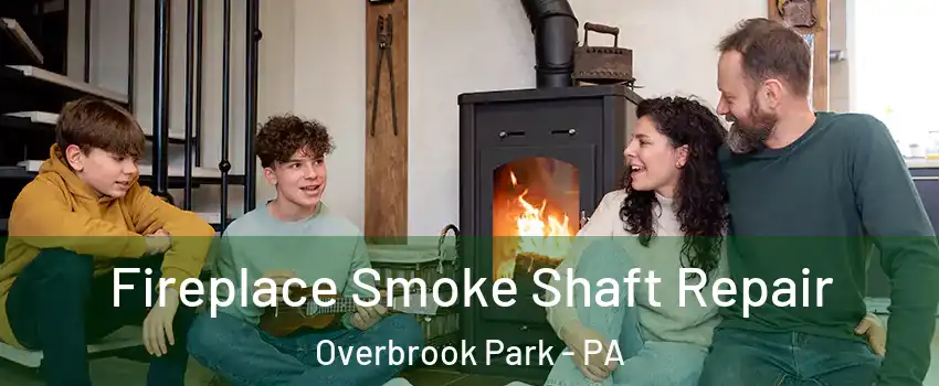 Fireplace Smoke Shaft Repair Overbrook Park - PA