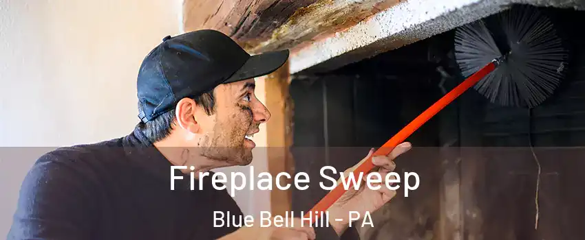 Fireplace Sweep Blue Bell Hill - PA