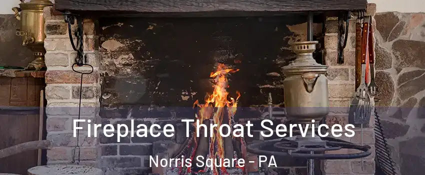 Fireplace Throat Services Norris Square - PA