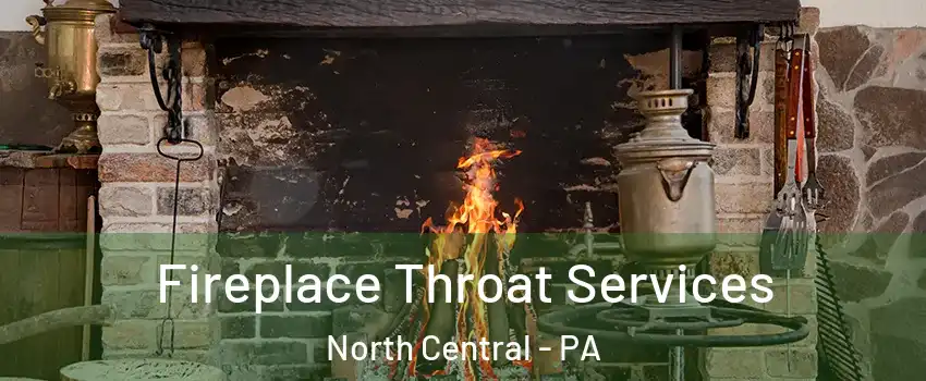 Fireplace Throat Services North Central - PA