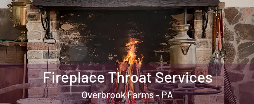 Fireplace Throat Services Overbrook Farms - PA