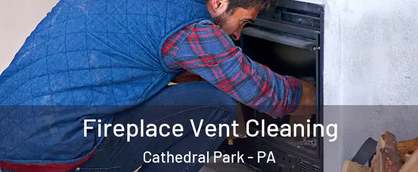 Fireplace Vent Cleaning Cathedral Park - PA