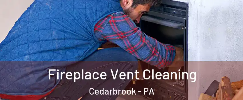 Fireplace Vent Cleaning Cedarbrook - PA