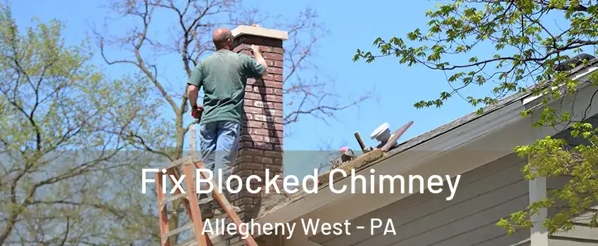 Fix Blocked Chimney Allegheny West - PA