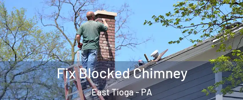 Fix Blocked Chimney East Tioga - PA