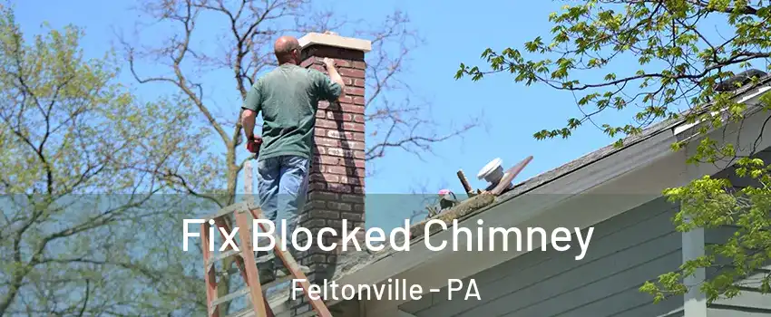 Fix Blocked Chimney Feltonville - PA