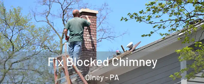 Fix Blocked Chimney Olney - PA