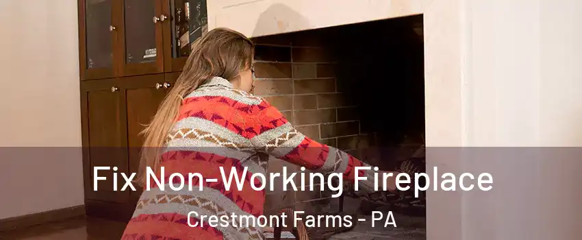 Fix Non-Working Fireplace Crestmont Farms - PA