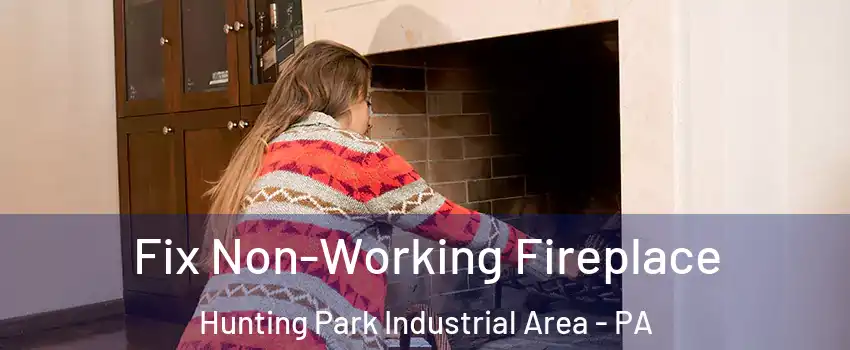 Fix Non-Working Fireplace Hunting Park Industrial Area - PA