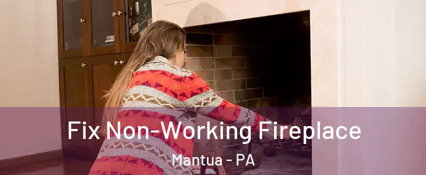 Fix Non-Working Fireplace Mantua - PA