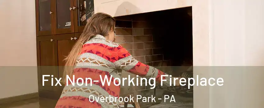 Fix Non-Working Fireplace Overbrook Park - PA