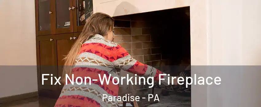 Fix Non-Working Fireplace Paradise - PA