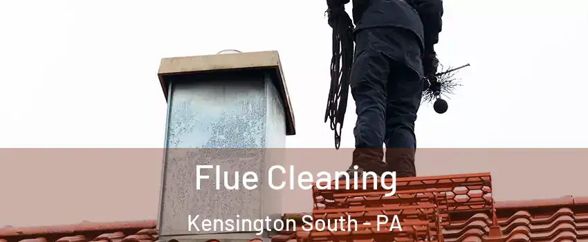 Flue Cleaning Kensington South - PA