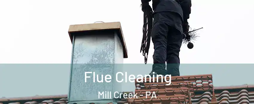 Flue Cleaning Mill Creek - PA