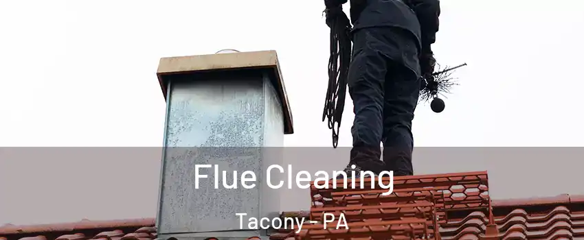 Flue Cleaning Tacony - PA