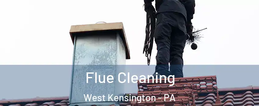 Flue Cleaning West Kensington - PA