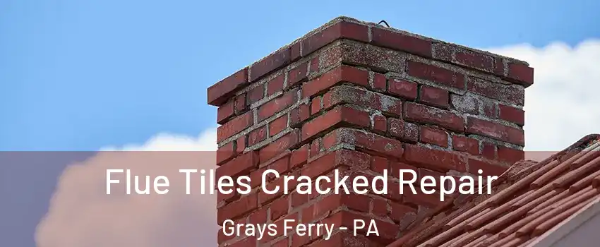 Flue Tiles Cracked Repair Grays Ferry - PA