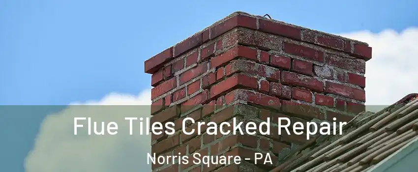 Flue Tiles Cracked Repair Norris Square - PA