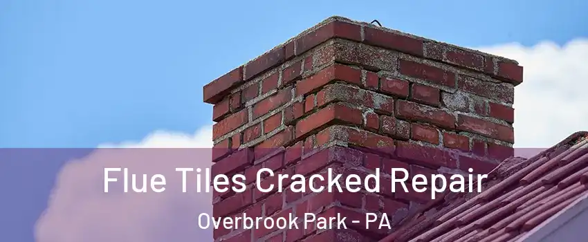 Flue Tiles Cracked Repair Overbrook Park - PA