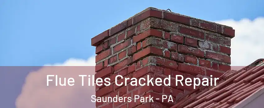 Flue Tiles Cracked Repair Saunders Park - PA